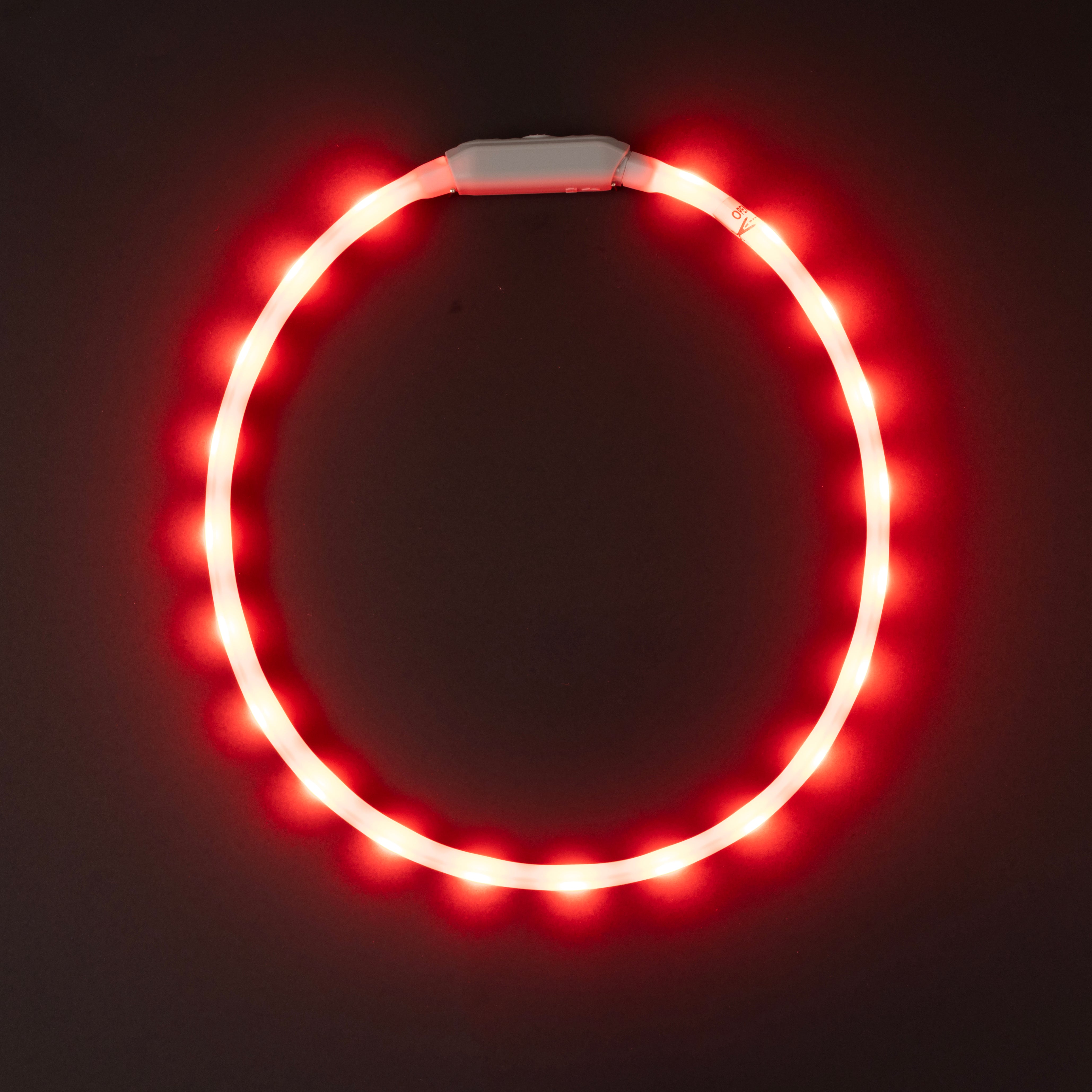 wowow-glowband-collare-per-cane-led-rgb-silicone-ricaricabile image 5