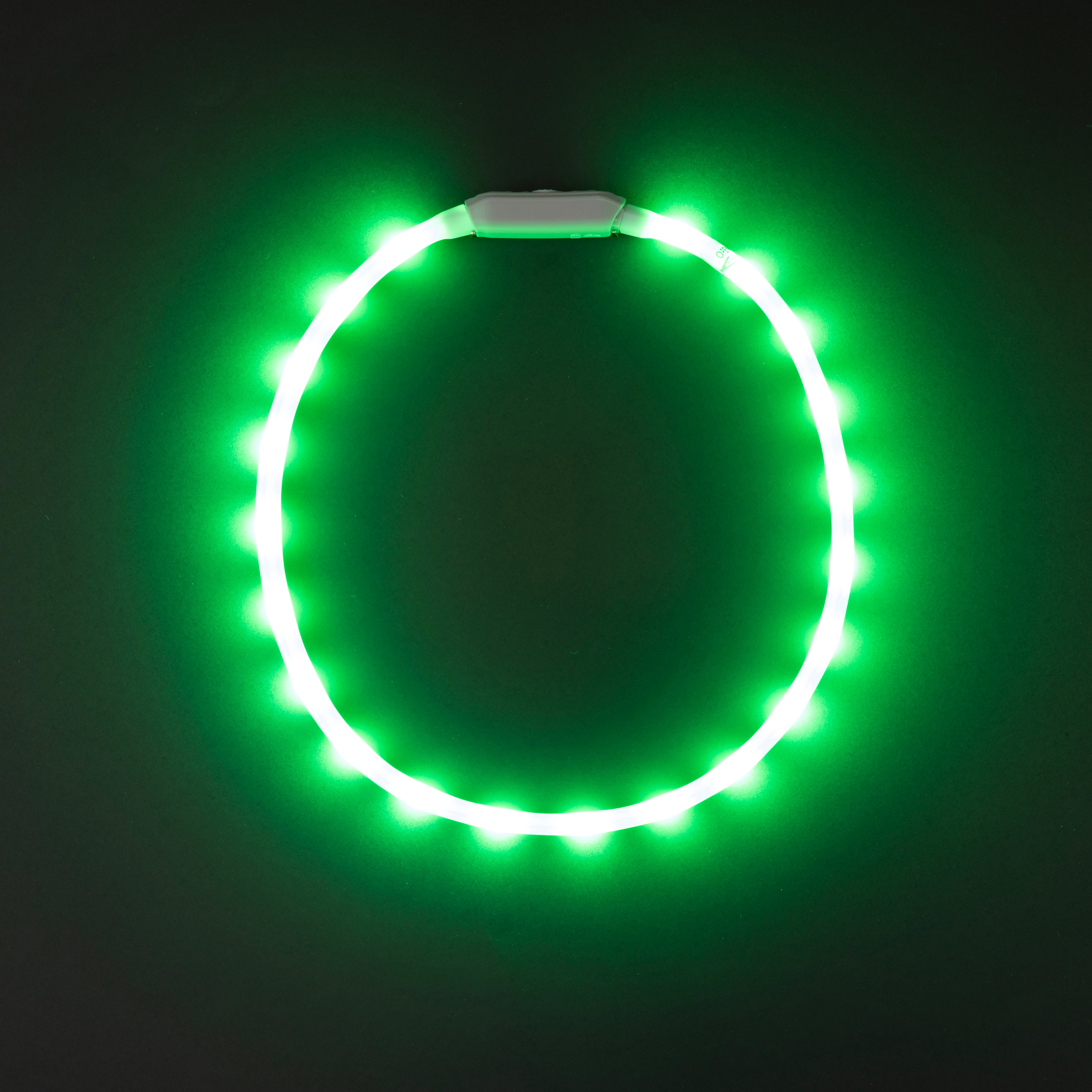 wowow-glowband-collare-per-cane-led-rgb-silicone-ricaricabile image 7