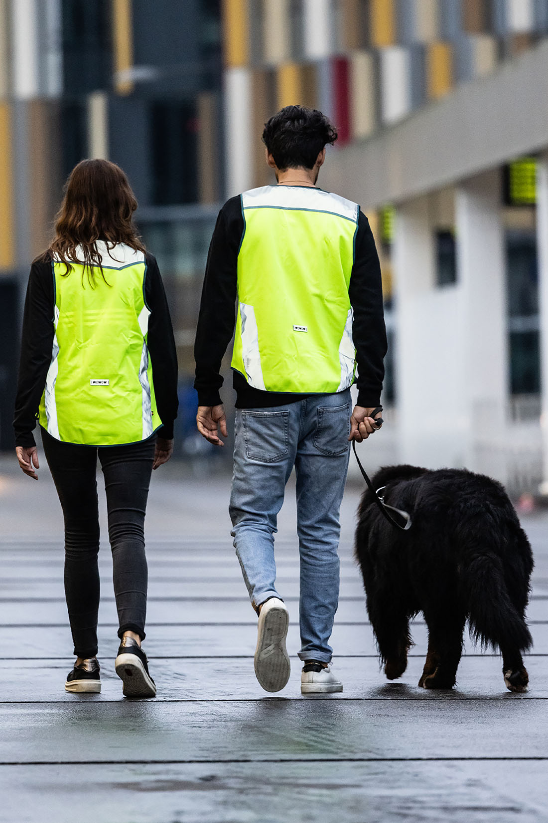 wowow-montreal-giacca-uomo-gialla-fluorescente-riflettente image 6